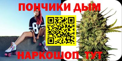 шишки Апшеронск